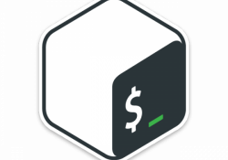 Terminal